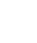 Ninjacup 2024